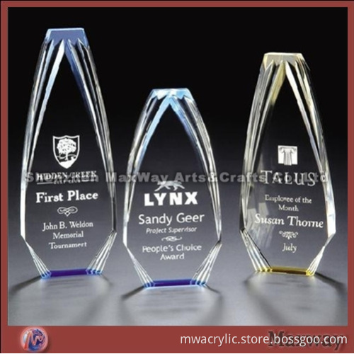 Transparent diamond acrylic/lucite paperweight/present/award with logo and artwork